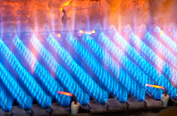 Trevithal gas fired boilers